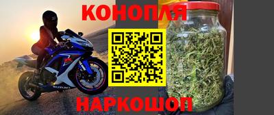 мяу мяу мука Малоярославец
